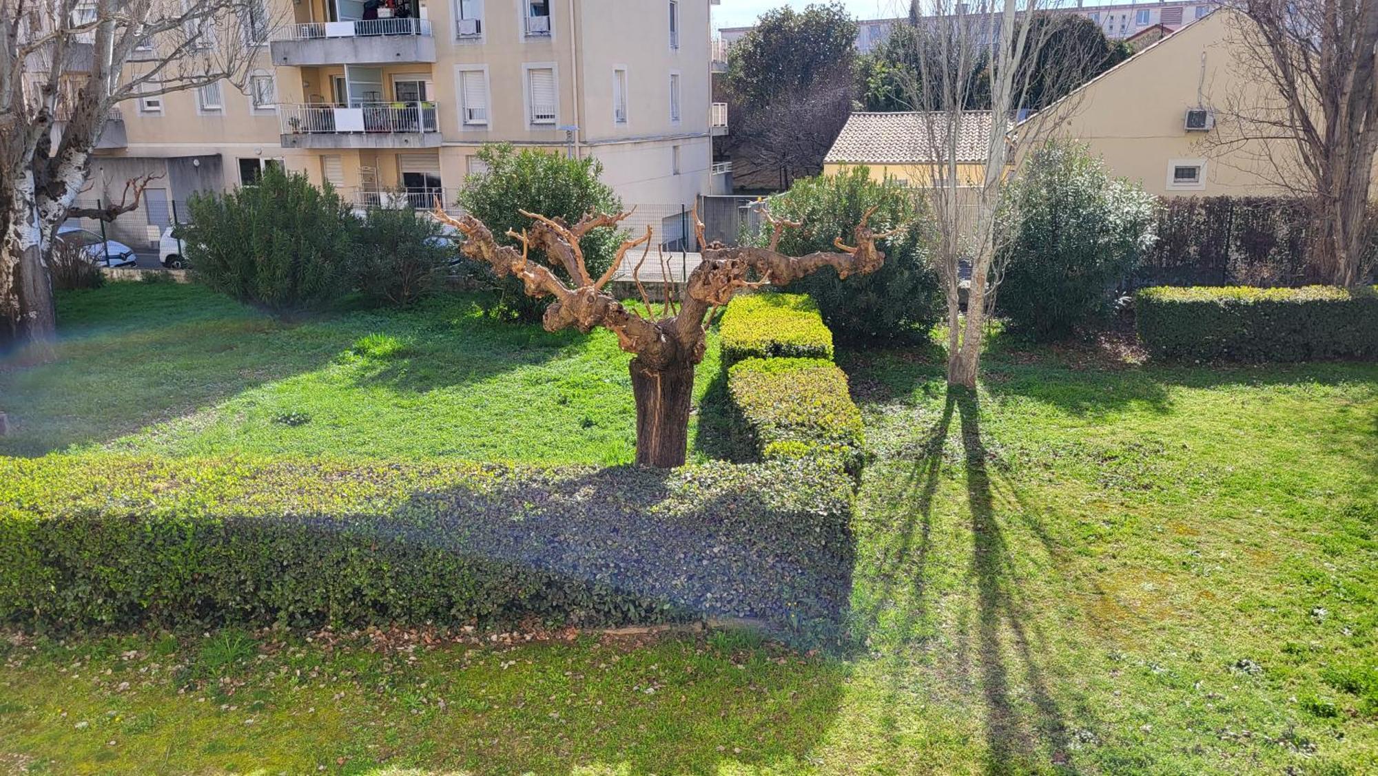 Les Tourterelles D'Avignon Apartment Екстериор снимка